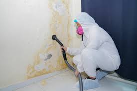 Reliable Old Forge, PA Mold Prevention & Removal  Solutions